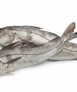 Buy Striped Bass 5-6 Lb. Avg (2-3 Fish)